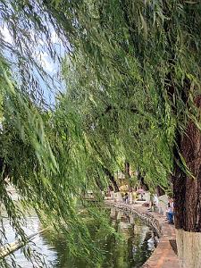 Kunming - Parc Cuihu - 42